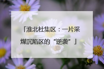淮北杜集区：一片采煤沉陷区的“逆袭”
