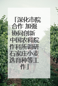 深化市院合作 加强协同创新 中国农科院作科所调研石家庄小麦选育种等工作