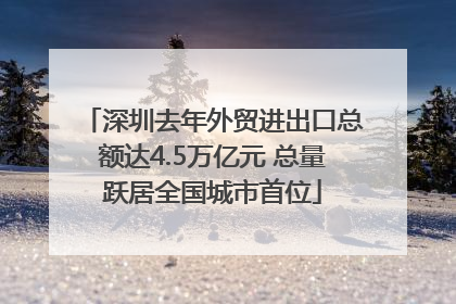 深圳去年外贸进出口总额达4.5万亿元 总量跃居全国城市首位