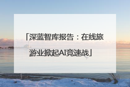 深蓝智库报告：在线旅游业掀起AI竞速战