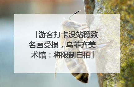 游客打卡没站稳致名画受损，乌菲齐美术馆：将限制自拍