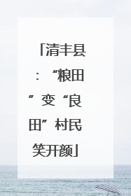 清丰县：“粮田”变“良田”村民笑开颜