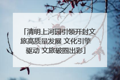清明上河园引领开封文旅高质量发展 文化引擎驱动 文旅破圈出彩