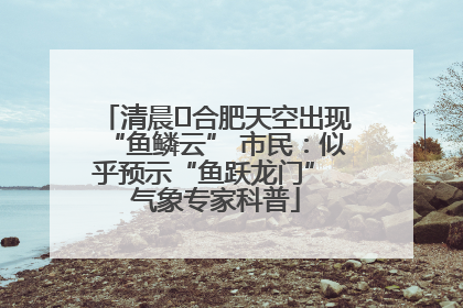 清晨﻿合肥天空出现“鱼鳞云” 市民：似乎预示“鱼跃龙门” 气象专家科普