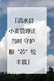 清水县：小麦管理正当时 守护粮“芯”绘丰景