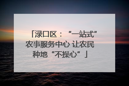渌口区：“一站式”农事服务中心 让农民种地“不操心”