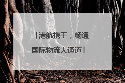 港航携手，畅通国际物流大通道