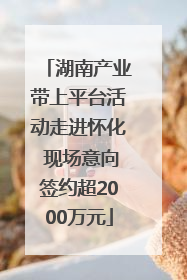 湖南产业带上平台活动走进怀化 现场意向签约超2000万元