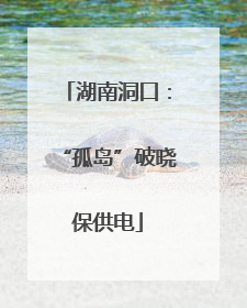 湖南洞口：“孤岛”破晓保供电