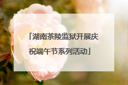 湖南茶陵监狱开展庆祝端午节系列活动