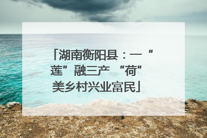 湖南衡阳县：一“莲”融三产 “荷”美乡村兴业富民