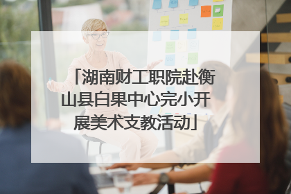 湖南财工职院赴衡山县白果中心完小开展美术支教活动