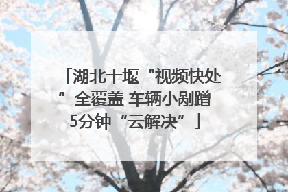 湖北十堰“视频快处”全覆盖 车辆小剐蹭5分钟“云解决”