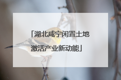 湖北咸宁闲置土地激活产业新动能