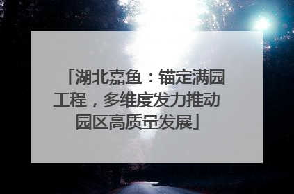 湖北嘉鱼：锚定满园工程，多维度发力推动园区高质量发展