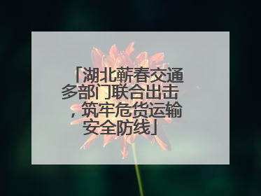 湖北蕲春交通多部门联合出击，筑牢危货运输安全防线