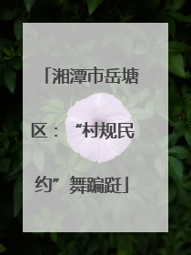 湘潭市岳塘区:“村规民约”舞蹁跹