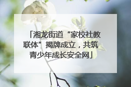湘龙街道“家校社教联体”揭牌成立，共筑青少年成长安全网