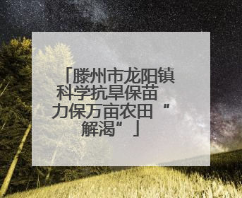 滕州市龙阳镇科学抗旱保苗 力保万亩农田“解渴”