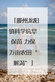 滕州龙阳镇科学抗旱保苗 力保万亩农田“解渴”