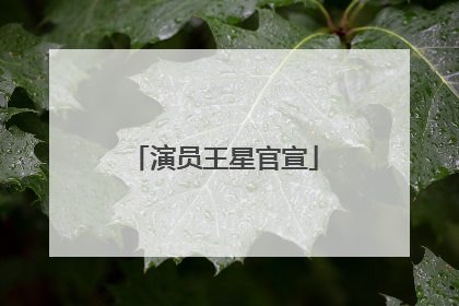 演员王星官宣