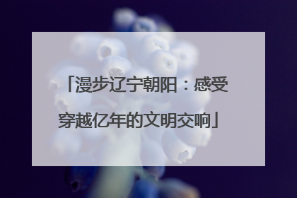 漫步辽宁朝阳：感受穿越亿年的文明交响