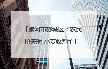 漯河市郾城区：农民抢天时 小麦收割忙