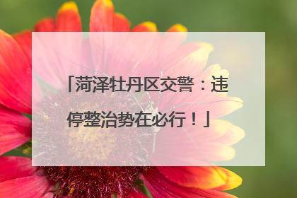 菏泽牡丹区交警：违停整治势在必行！
