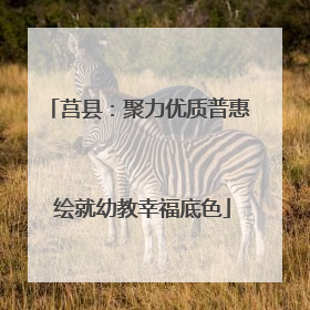 莒县：聚力优质普惠 绘就幼教幸福底色