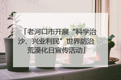 老河口市开展“科学治沙、兴业利民”世界防治荒漠化日宣传活动
