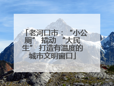 老河口市：“小公厕” 撬动 “大民生” 打造有温度的城市文明窗口