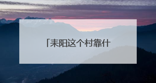 耒阳这个村靠什么获评“第七届全国文明村”？