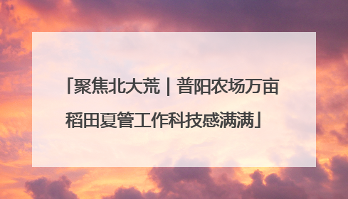 聚焦北大荒｜普阳农场万亩稻田夏管工作科技感满满