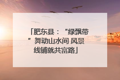 肥东县：“绿飘带”舞动山水间 风景线铺就共富路