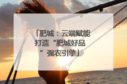 肥城：云端赋能 打造“肥城好品”强农引擎