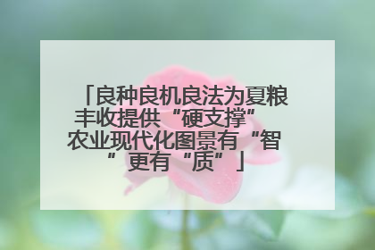 良种良机良法为夏粮丰收提供“硬支撑” 农业现代化图景有“智”更有“质”