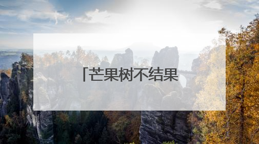 芒果树不结果？抑花控果减少落果危害