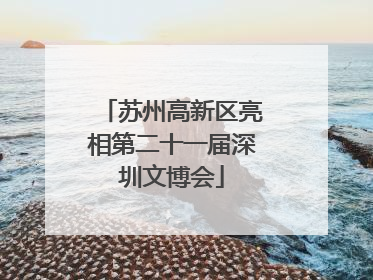 苏州高新区亮相第二十一届深圳文博会