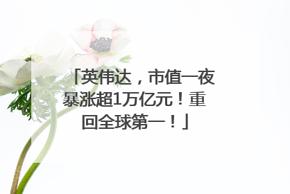 英伟达，市值一夜暴涨超1万亿元！重回全球第一！