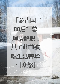 蒙古国“80后”总理遭解职，其子此前被曝生活奢华引众怒