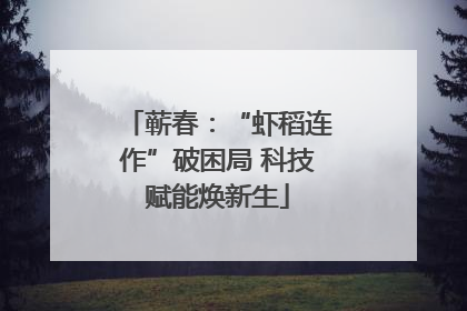 蕲春：“虾稻连作”破困局 科技赋能焕新生