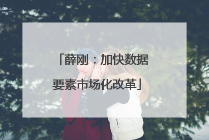 薛刚：加快数据要素市场化改革