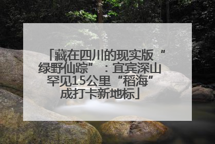 藏在四川的现实版“绿野仙踪”：宜宾深山罕见15公里“稻海”成打卡新地标