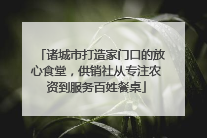 诸城市打造家门口的放心食堂，供销社从专注农资到服务百姓餐桌
