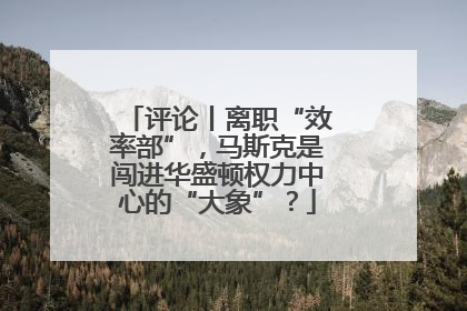 评论丨离职“效率部”，马斯克是闯进华盛顿权力中心的“大象”？