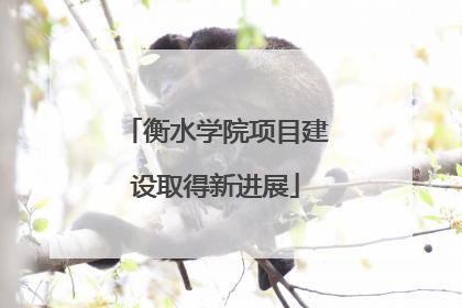 衡水学院项目建设取得新进展