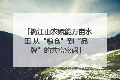 衢江山农赋能万亩水田 从“粮仓”到“品牌”的共富密码