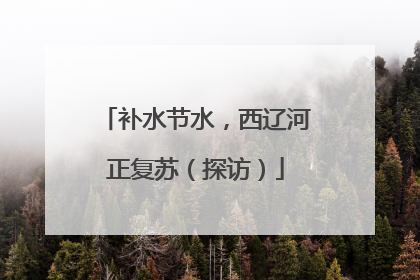 补水节水，西辽河正复苏（探访）