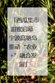 西瓜集市甜蜜启幕 宁波高塘岛推动“农业+”融合发展
