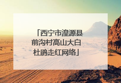 西宁市湟源县前沟村高山大白杜鹃走红网络